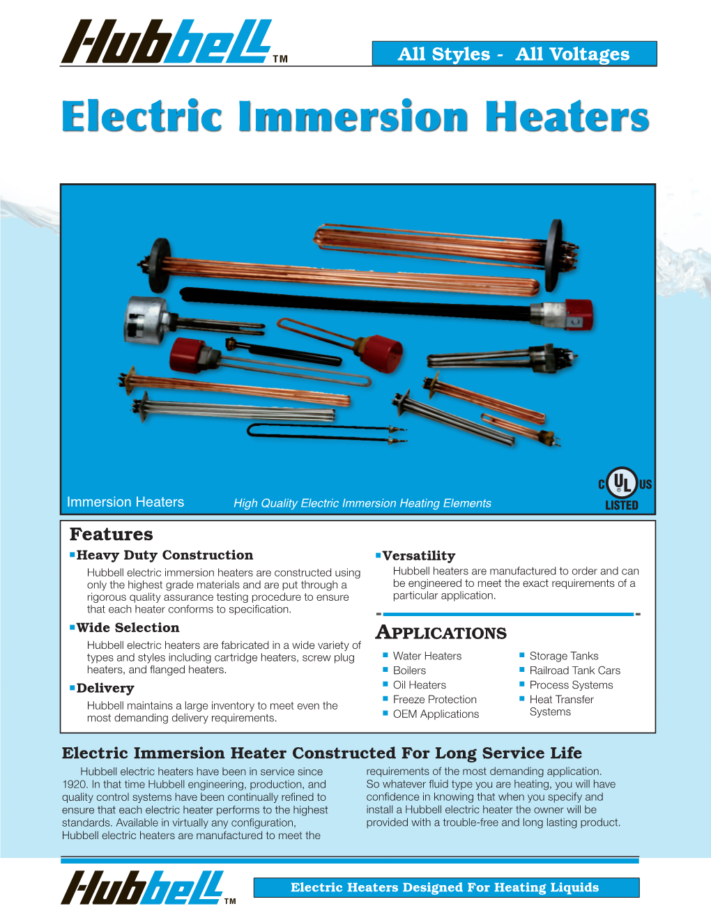 Hubbell Model Immersion.Pdf