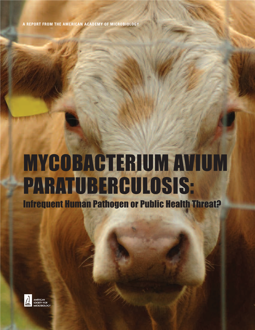 MYCOBACTERIUM AVIUM PARATUBERCULOSIS: Infrequent Human Pathogen Or Public Health Threat? a REPORT from the AMERICAN ACADEMY of MICROBIOLOGY
