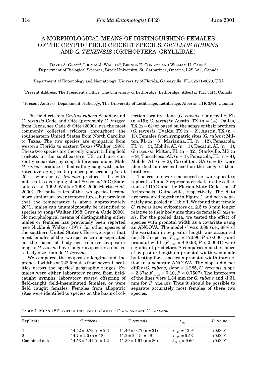 A Morphological Means of Distinguishing Females of the Cryptic Field Cricket Species, Gryllus Rubens and G