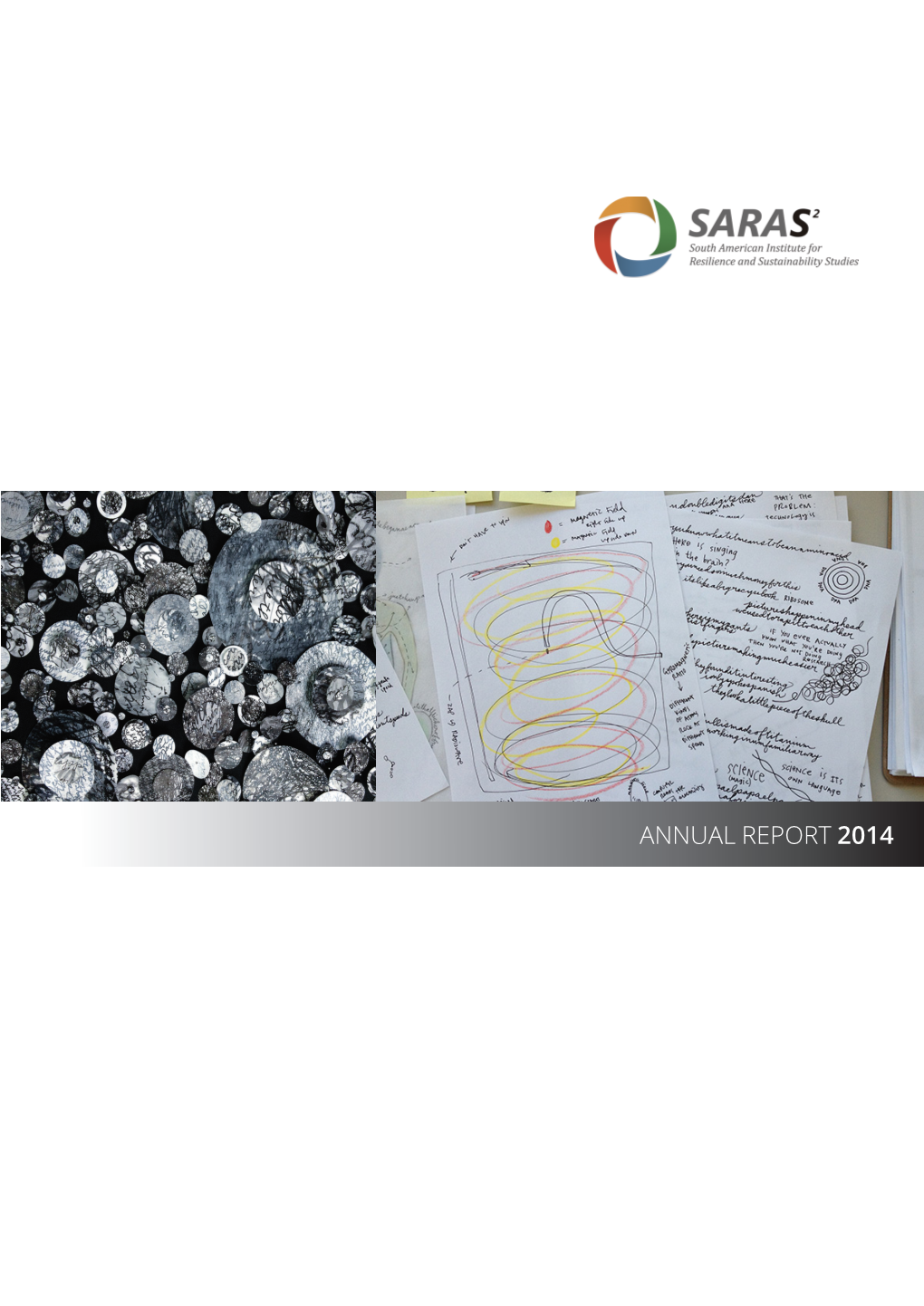 Annual Report 2014 Saras Institute