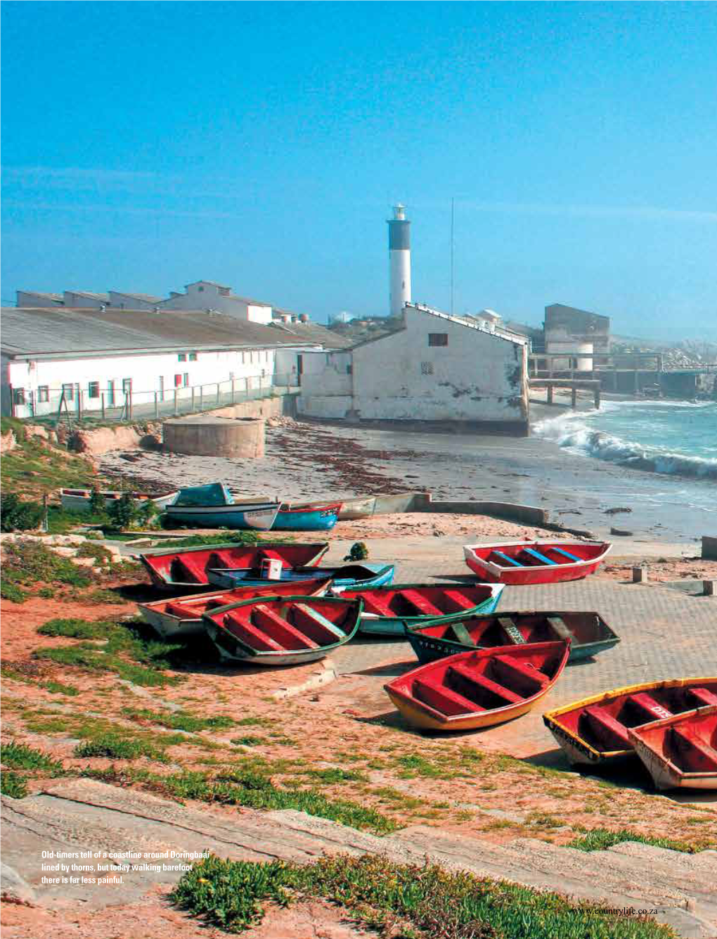 Old-Timers Tell of a Coastline Around Doringbaai Lined by Thorns, but Today Walking Barefoot There Is Far Less Painful