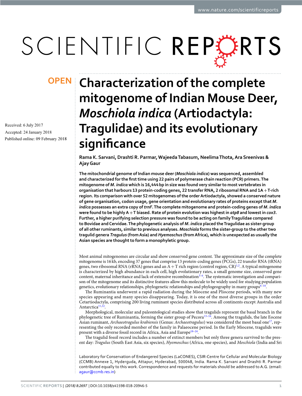 Characterization of the Complete Mitogenome of Indian Mouse Deer