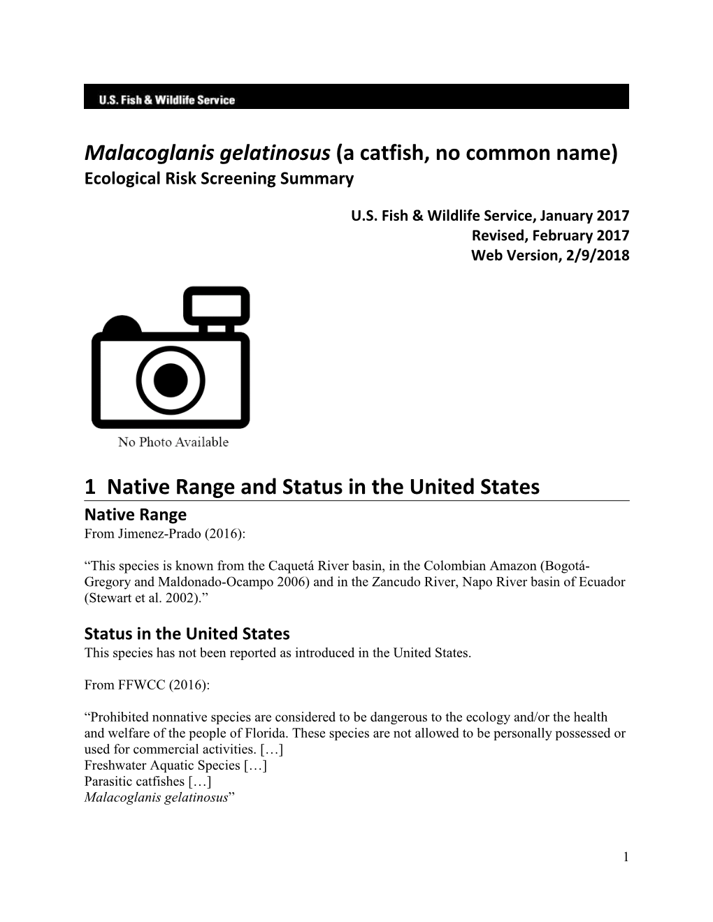 Malacoglanis Gelatinosus (A Catfish, No Common Name) Ecological Risk Screening Summary