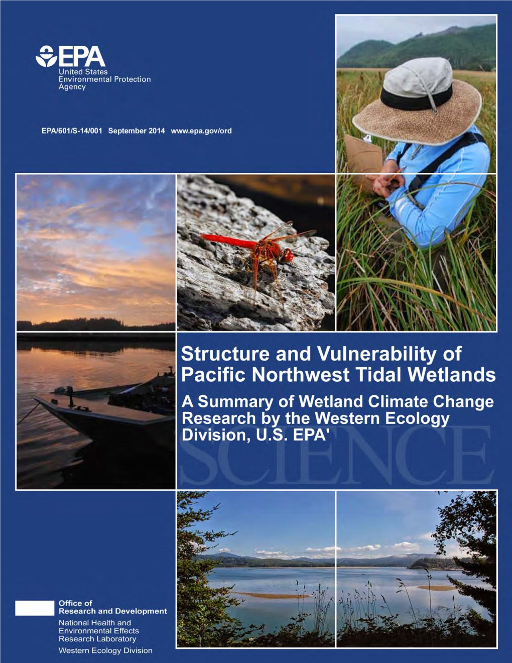 Structure and Vulnerability of Pacific Northwest Tidal Wetlands – a Summary of Wetland Climate Change Research by the Western Ecology Division, U.S