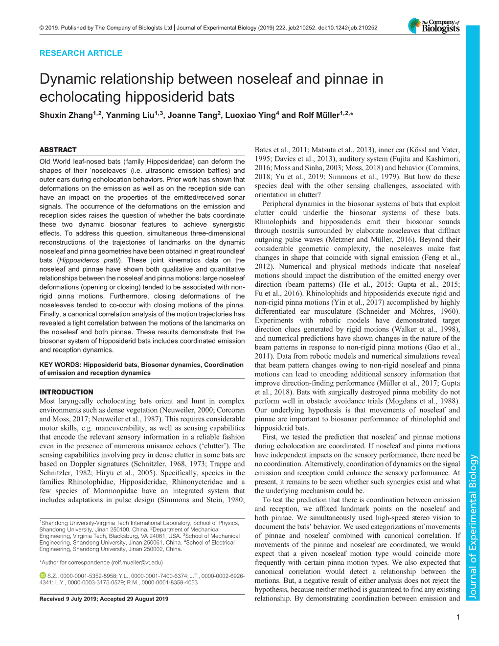 Dynamic Relationship Between Noseleaf and Pinnae in Echolocating Hipposiderid Bats Shuxin Zhang1,2, Yanming Liu1,3, Joanne Tang2, Luoxiao Ying4 and Rolf Müller1,2,*