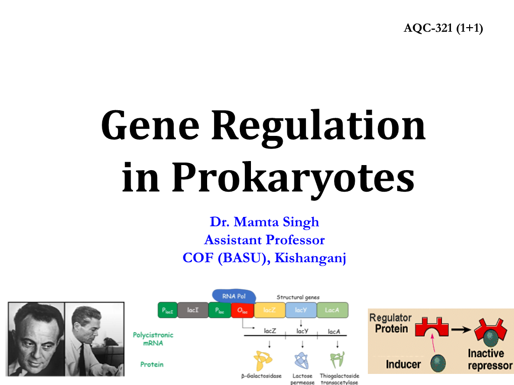 Gene Regulation in Prokaryotes Dr
