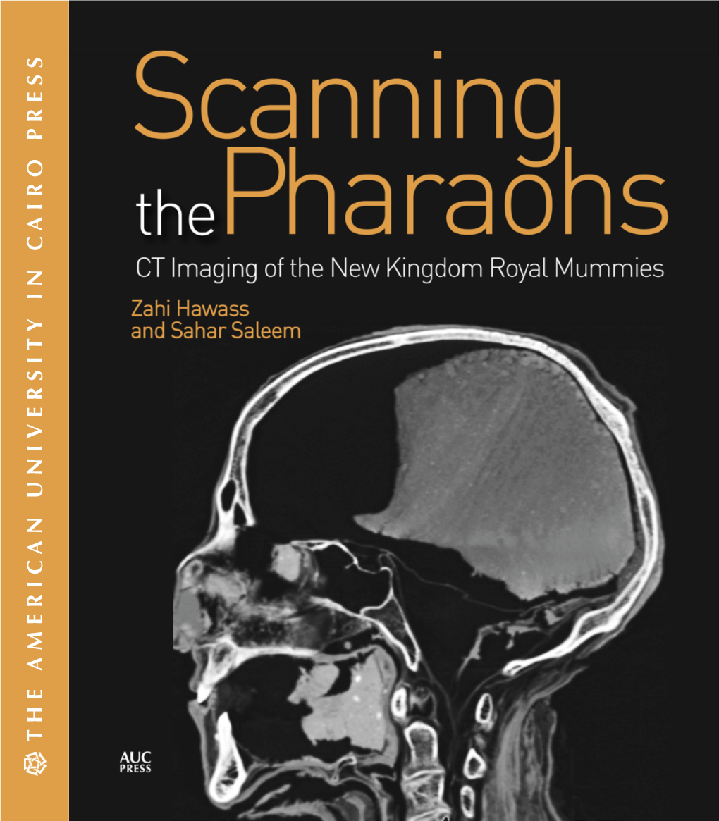 Scanning the Pharaohs Review