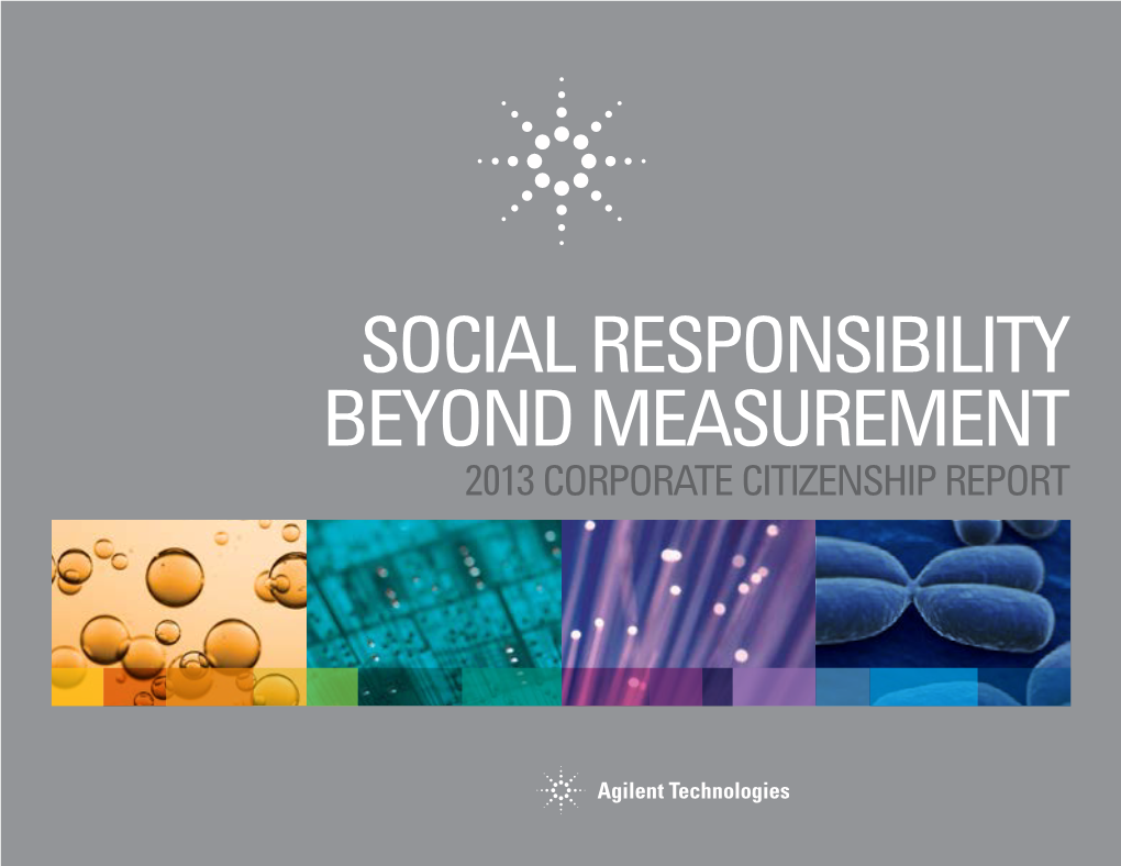 SOCIAL RESPONSIBILITY BEYOND Measurement 2013 Corporate Citizenship Report Table of Contents