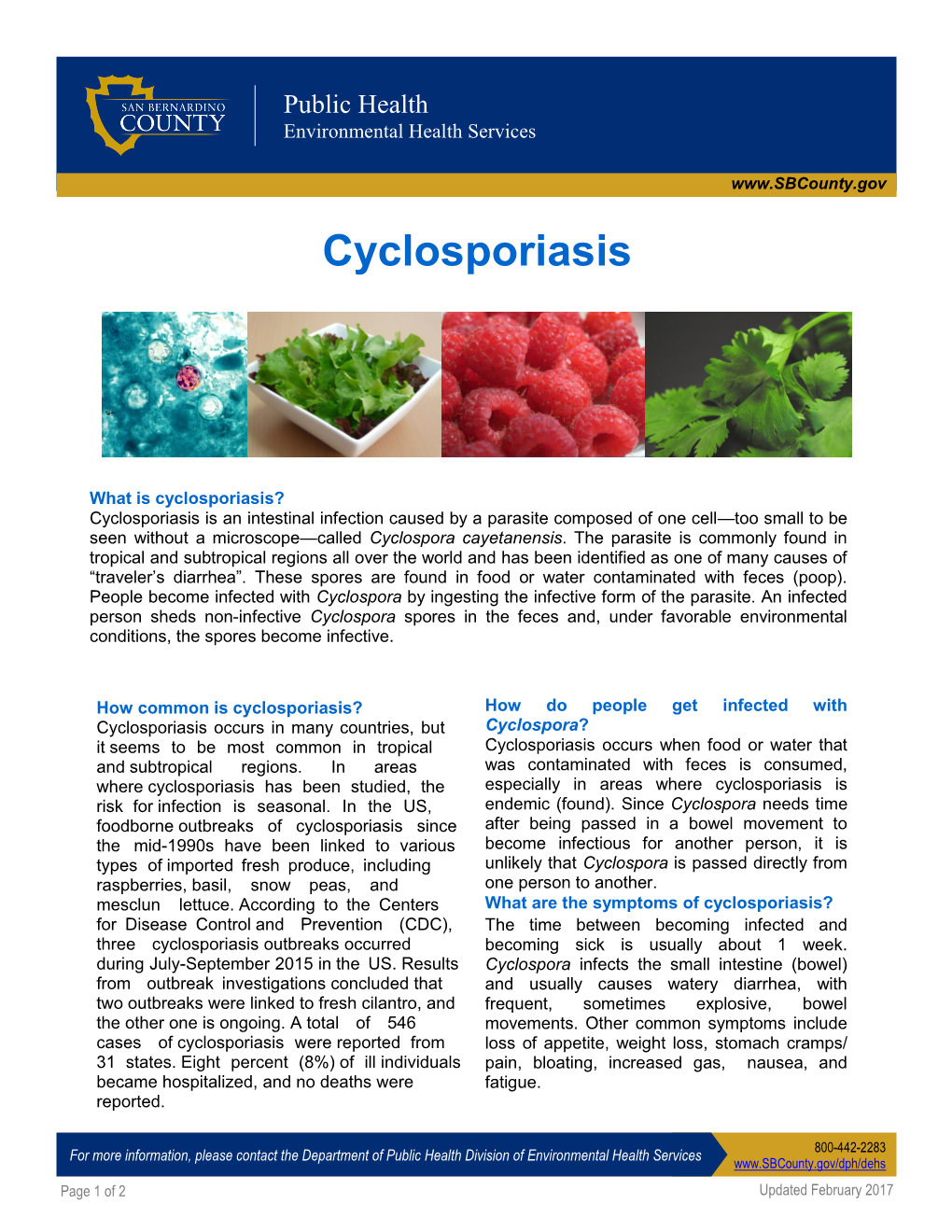 Cyclosporiasis