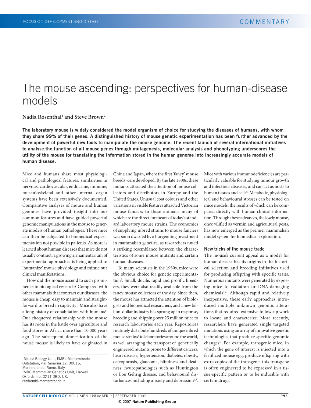 The Mouse Ascending: Perspectives for Human-Disease Models