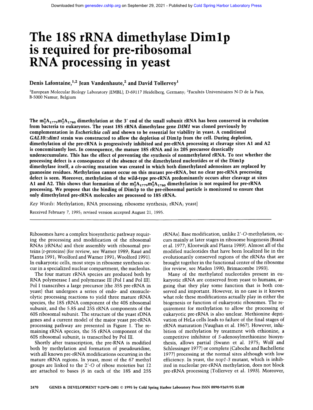 The 18S Rrna Dimethvlase D I M L ~ Is Required for Pre-Ribo~Omal RNA