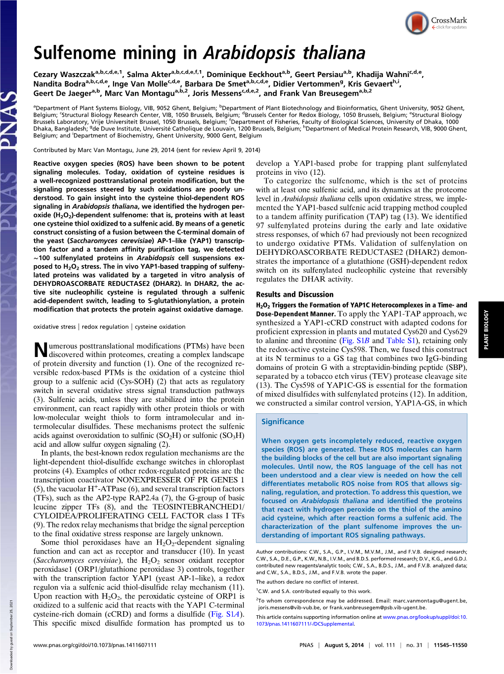 Sulfenome Mining in Arabidopsis Thaliana