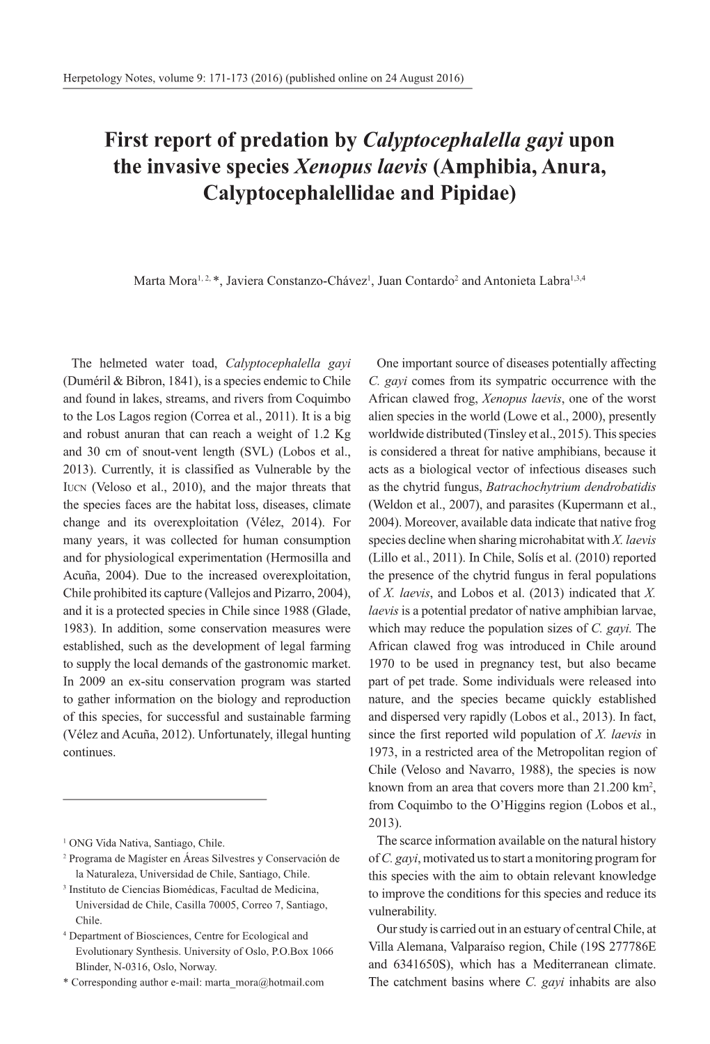 First Report of Predation by Calyptocephalella Gayi Upon the Invasive Species Xenopus Laevis (Amphibia, Anura, Calyptocephalellidae and Pipidae)