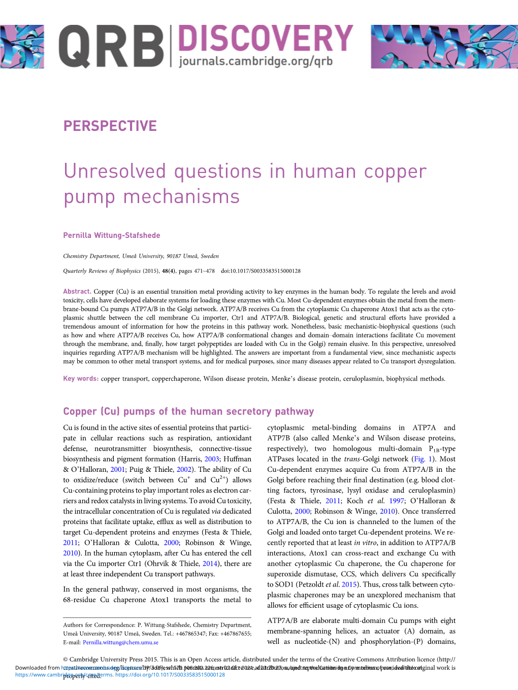 Unresolved Questions in Human Copper Pump Mechanisms