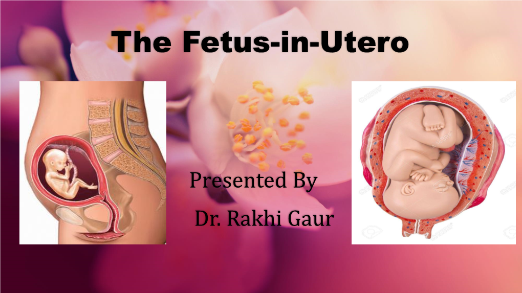 The Fetus-In-Utero