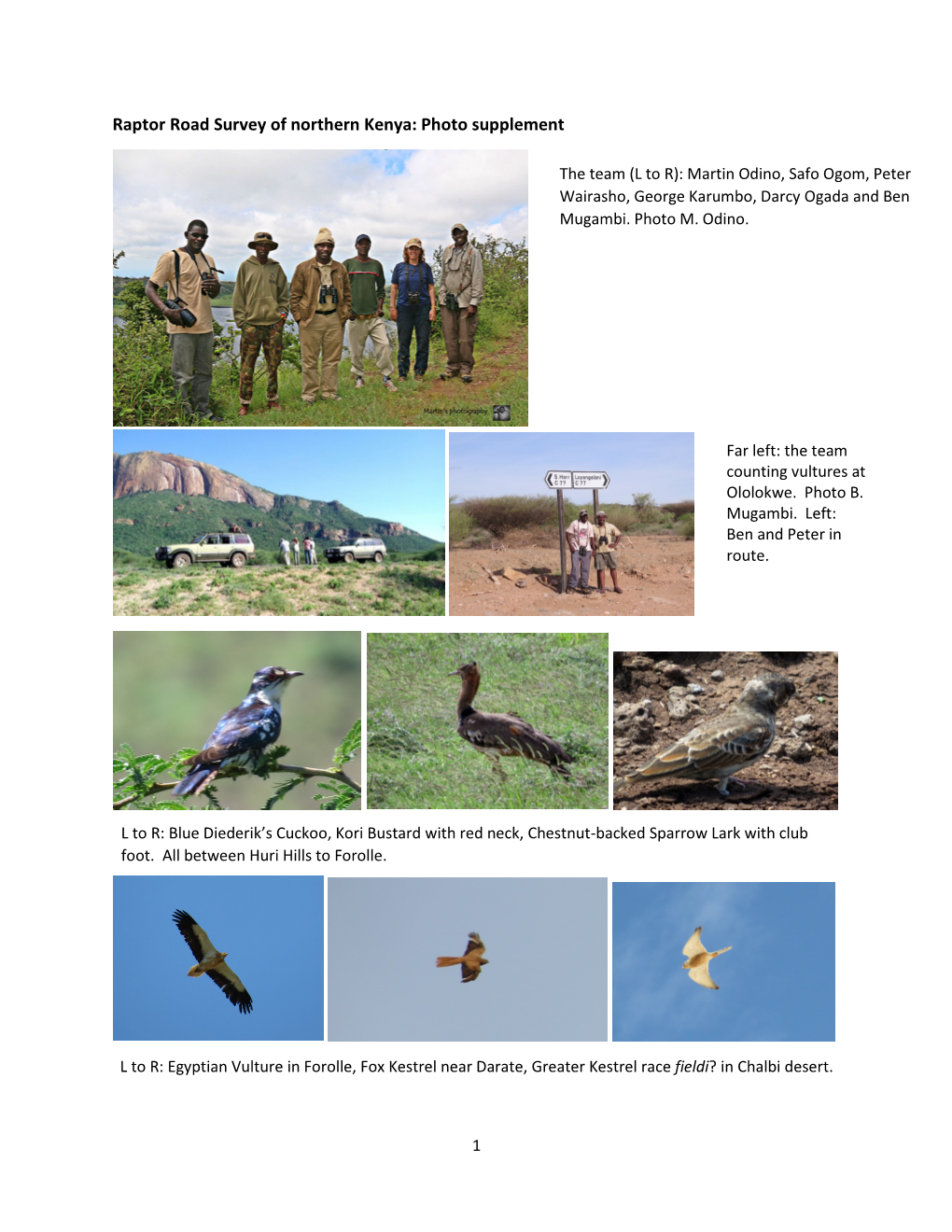 Raptor Road Survey of Northern Kenya: Photo Supplement