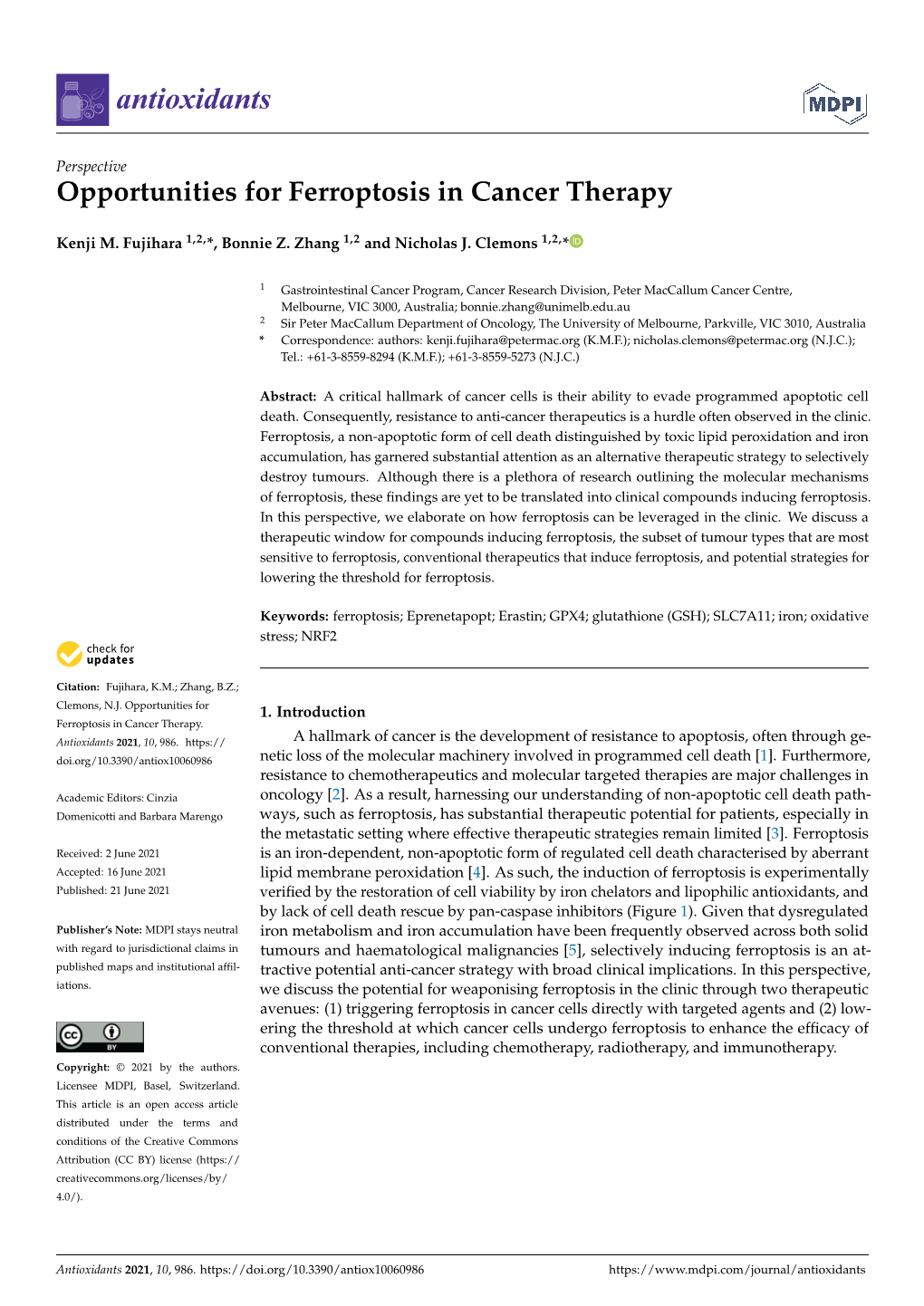 Opportunities for Ferroptosis in Cancer Therapy