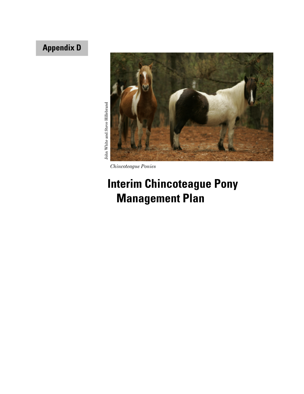 Appendix D – Interim Chincoteague Pony Management Plan