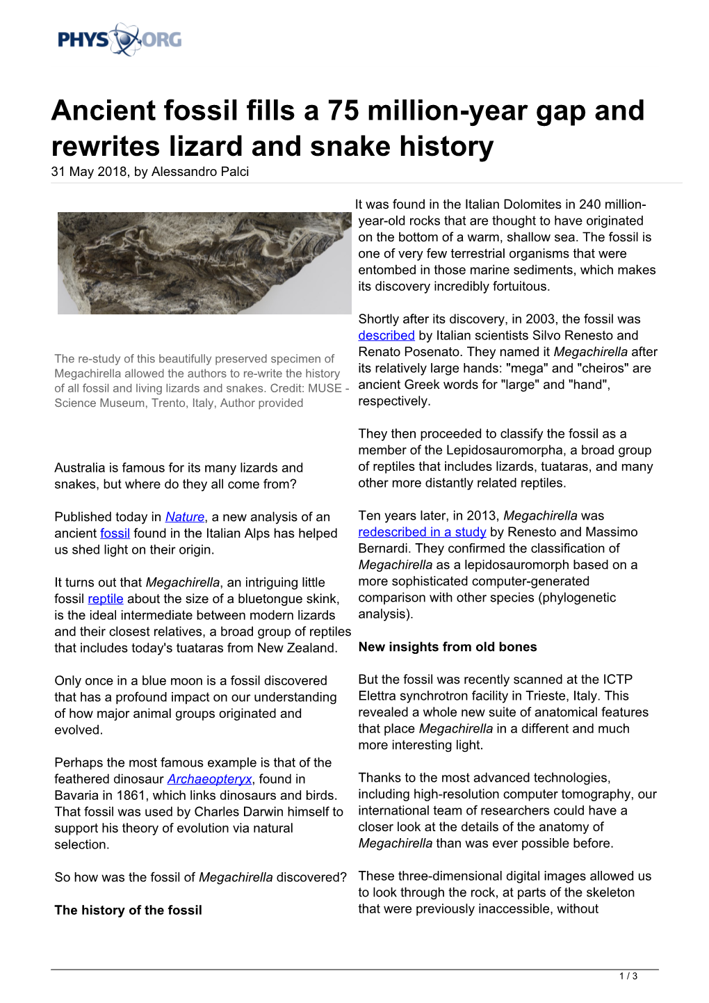 Ancient Fossil Fills a 75 Million-Year Gap and Rewrites Lizard and Snake History 31 May 2018, by Alessandro Palci