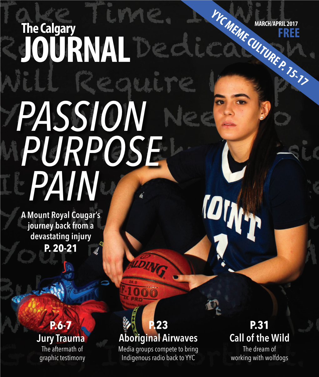 The Calgary FREE JOURNAL PASSION PURPOSE PAIN a Mount Royal Cougar’S Journey Back from a Devastating Injury P