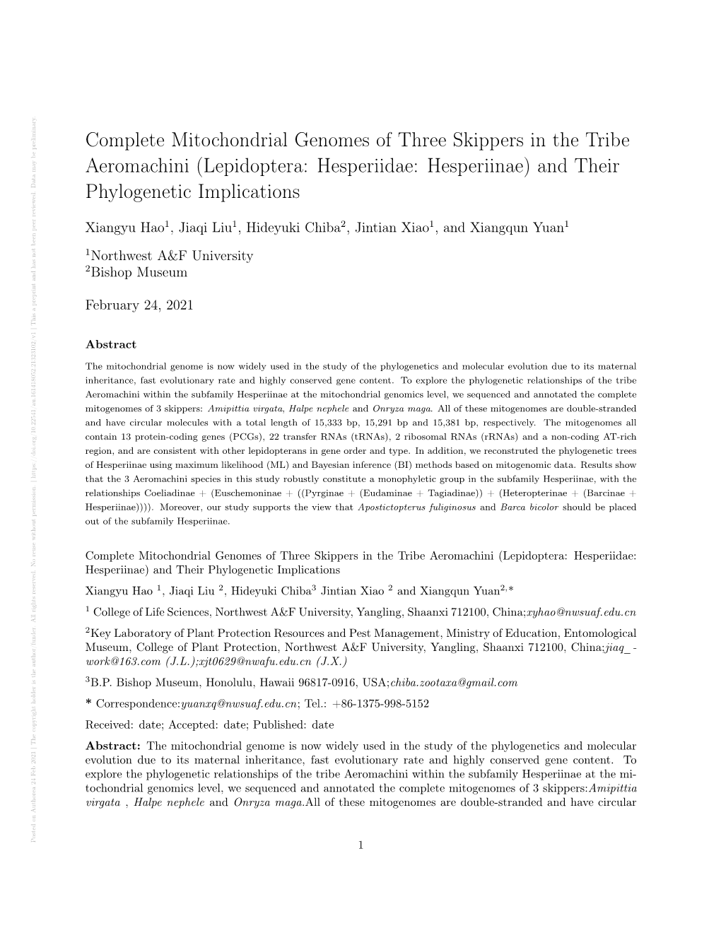 Complete Mitochondrial Genomes of Three Skippers in The