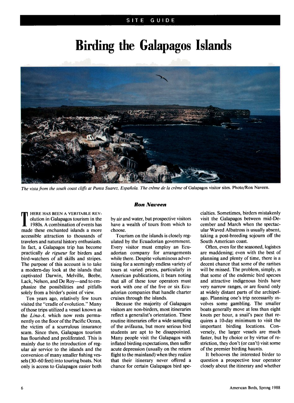 Birding the Galapagos Islands