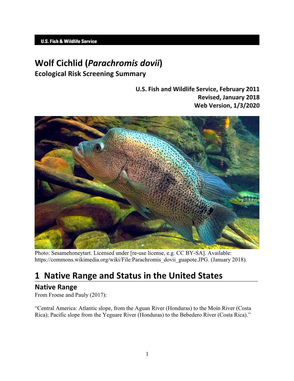 Parachromis Dovii Ecological Risk Screening Summary