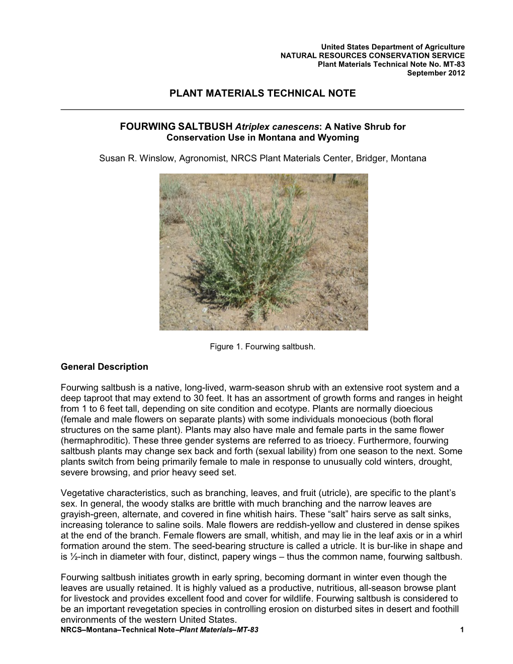 Technical Note MT-83 Fourwing Saltbush As a Native Conservation