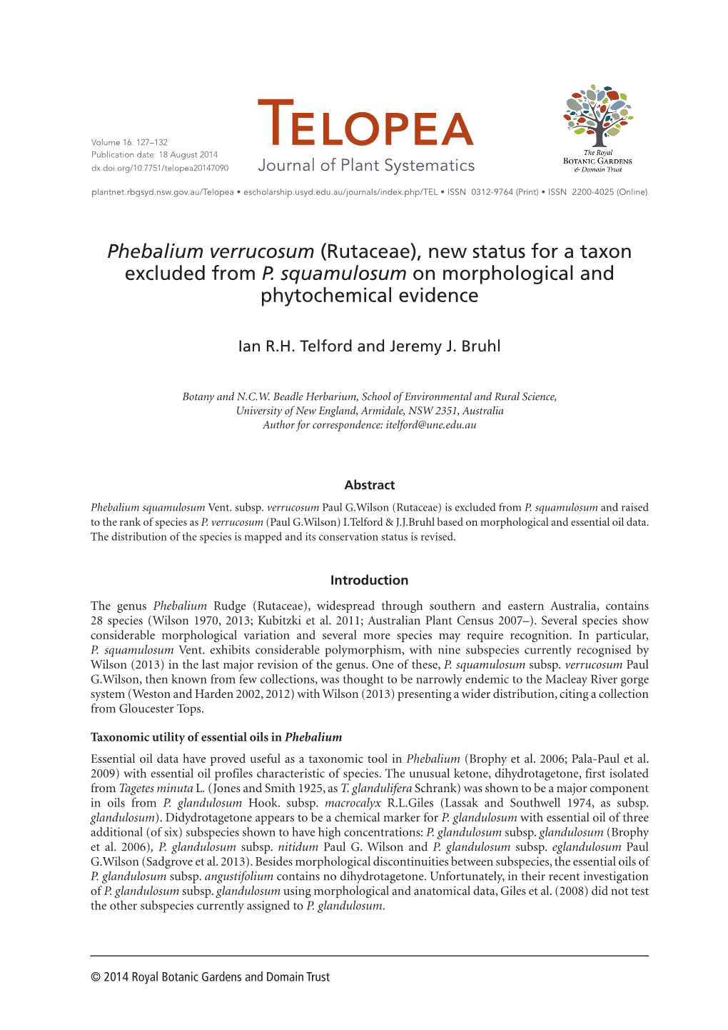 Phebalium Verrucosum (Rutaceae), New Status for a Taxon Excluded from P