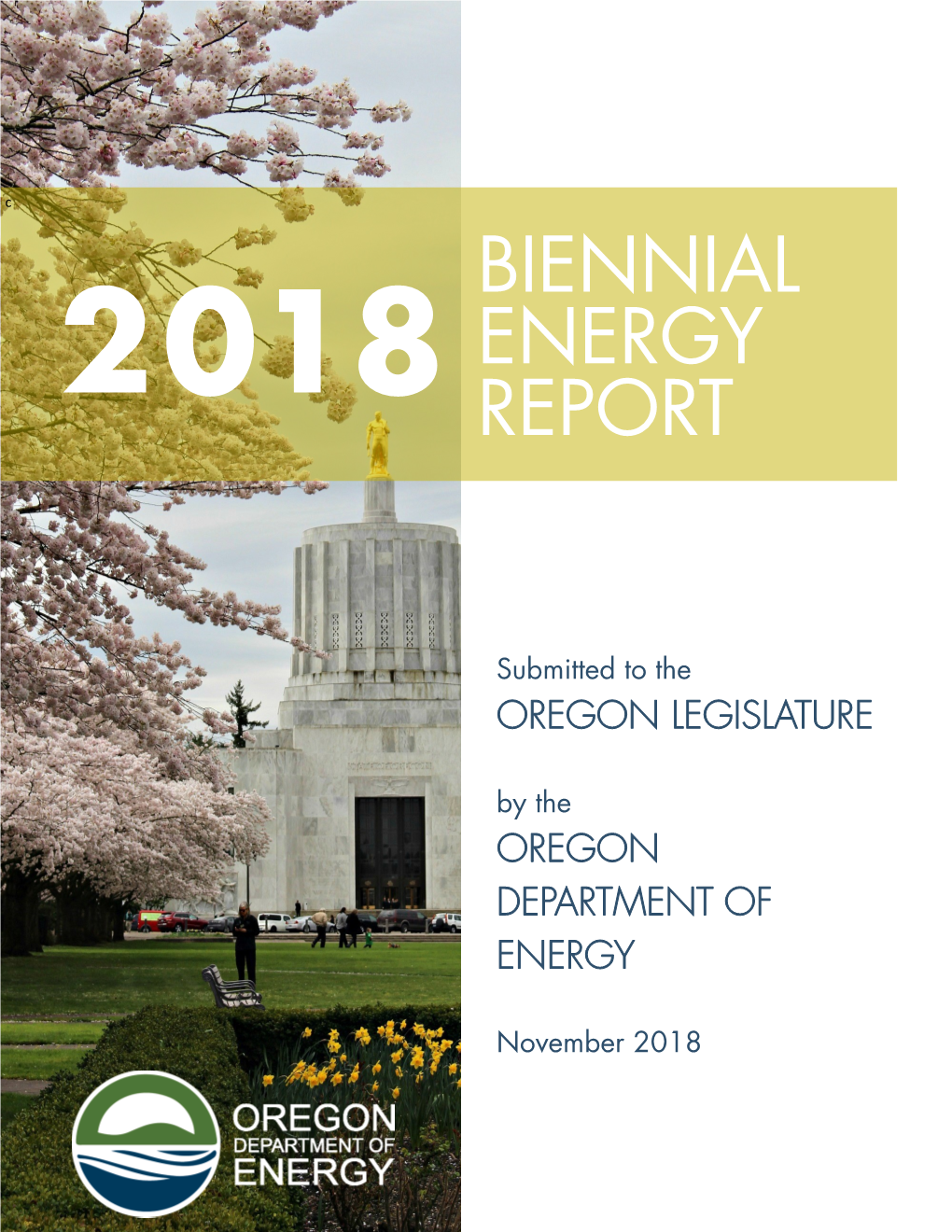 2018 Biennial Energy Report