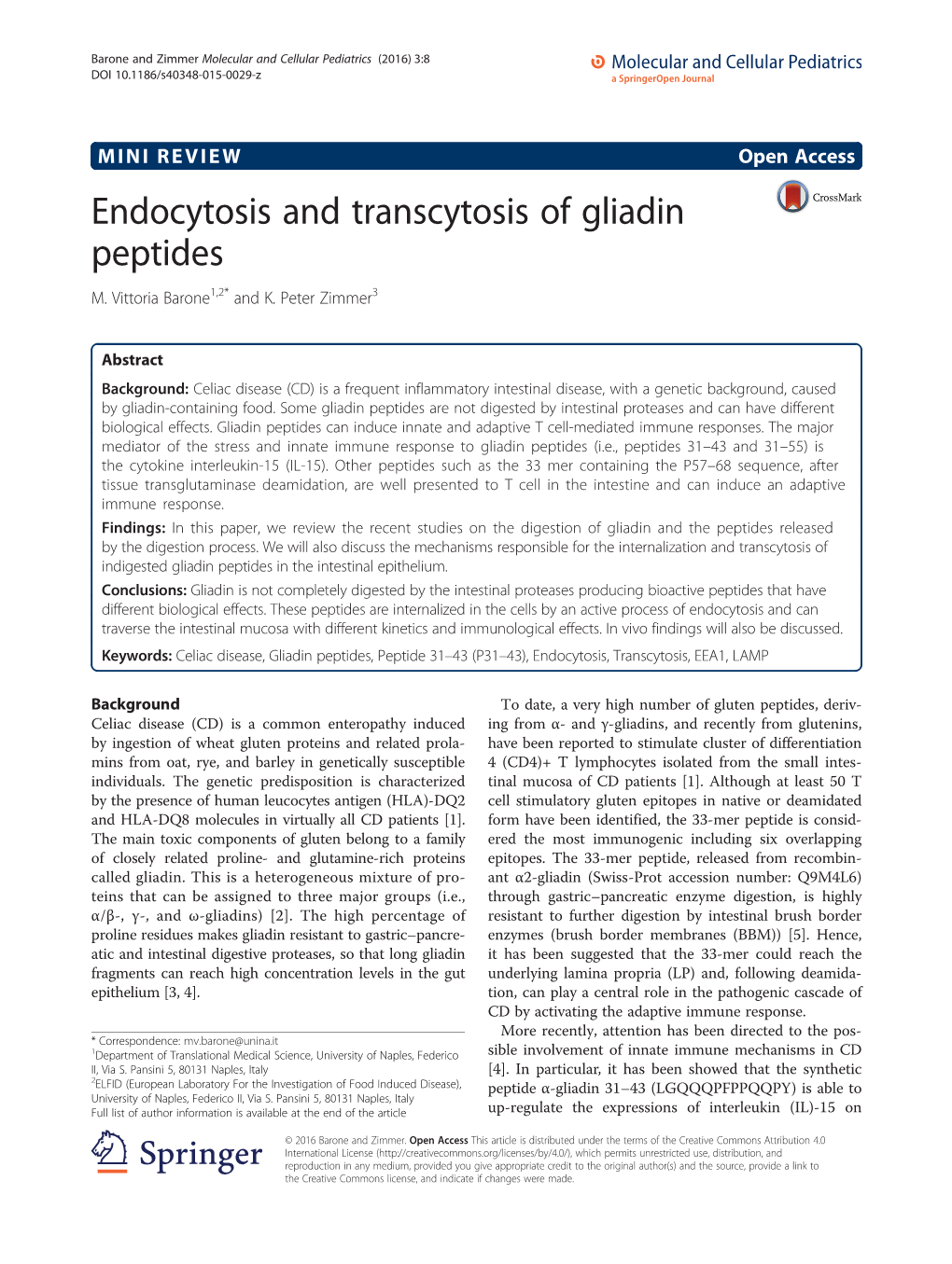 Endocytosis and Transcytosis of Gliadin Peptides M