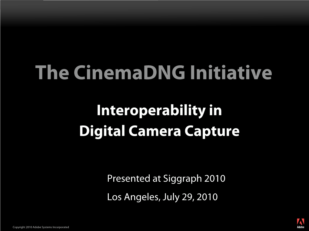 Cinemadng Siggraph 2010 Presentation