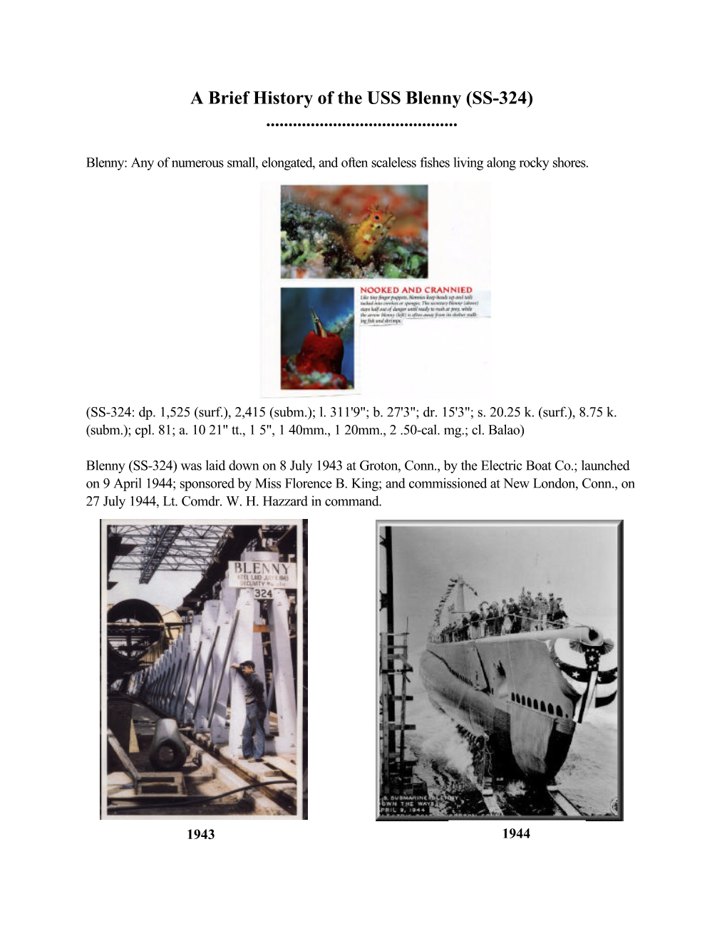 A Brief History of the USS Blenny (SS-324)