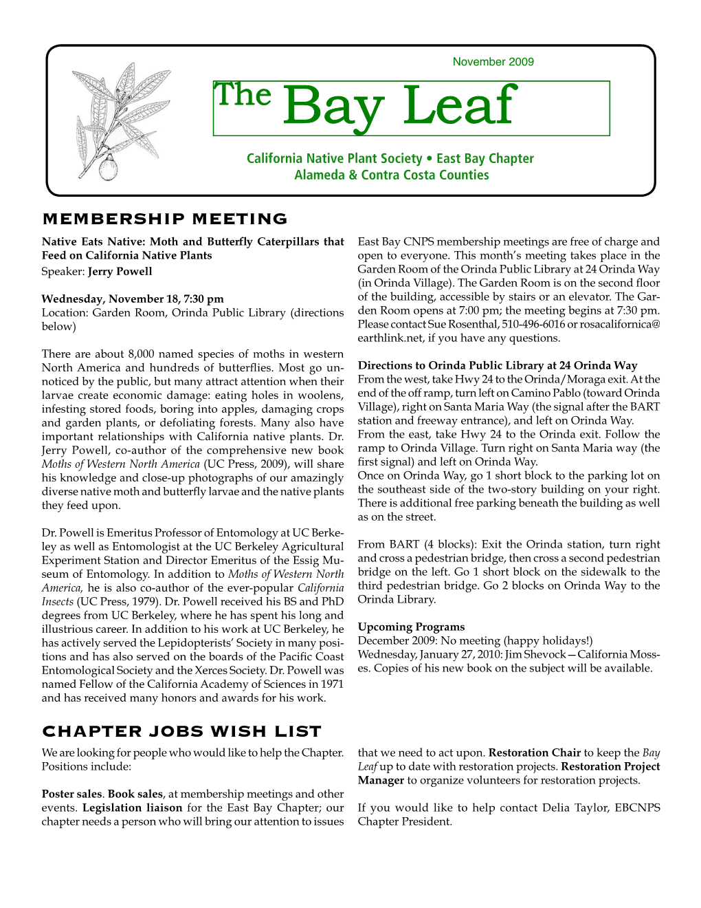 The Bay Leaf