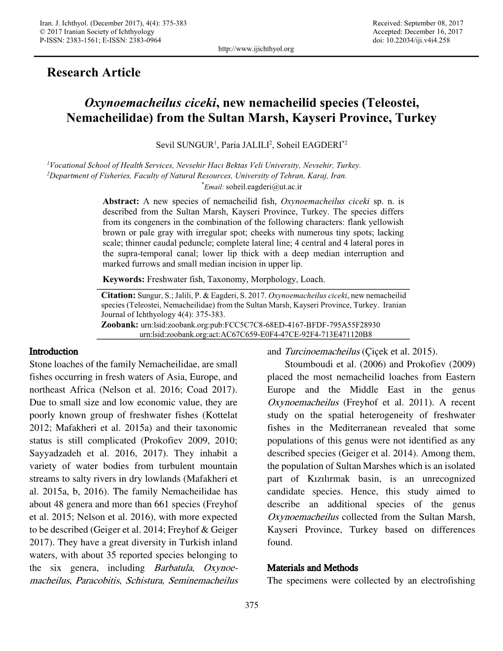 Research Article Oxynoemacheilus Ciceki, New Nemacheilid Species