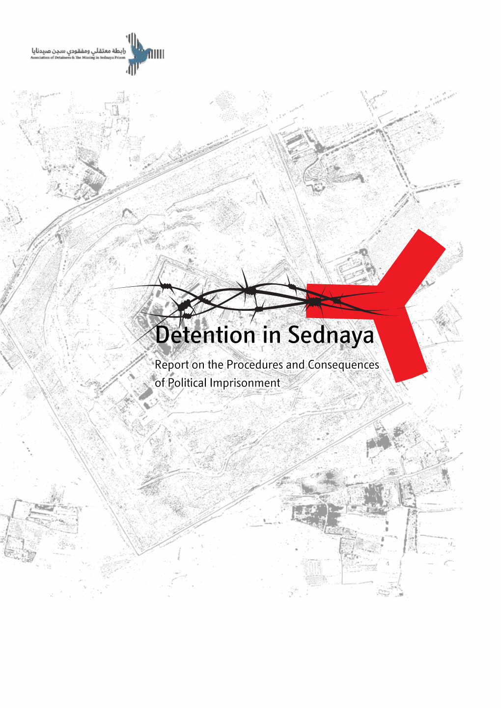 Detention in Sednaya