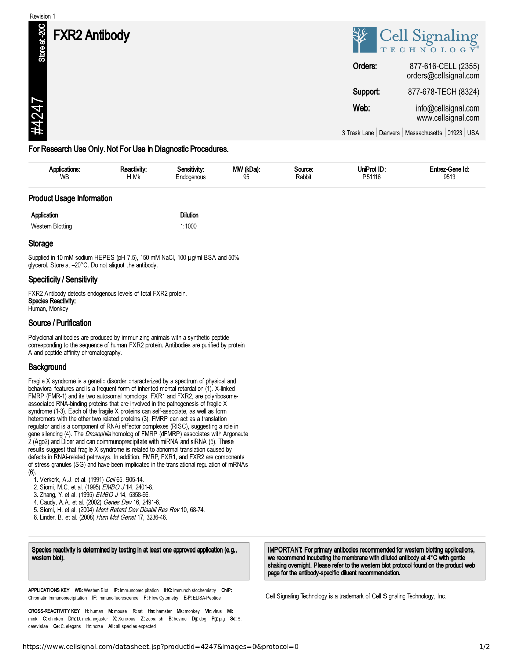 FXR2 Antibody A