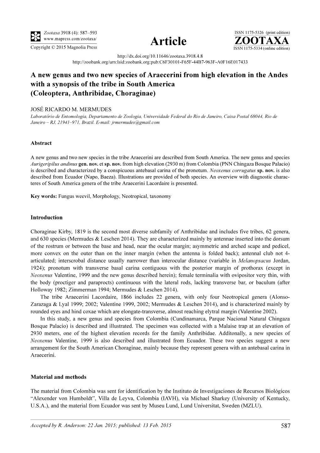 A New Genus and Two New Species of Araecerini from High Elevation in the Andes with a Synopsis of the Tribe in South America (Coleoptera, Anthribidae, Choraginae)