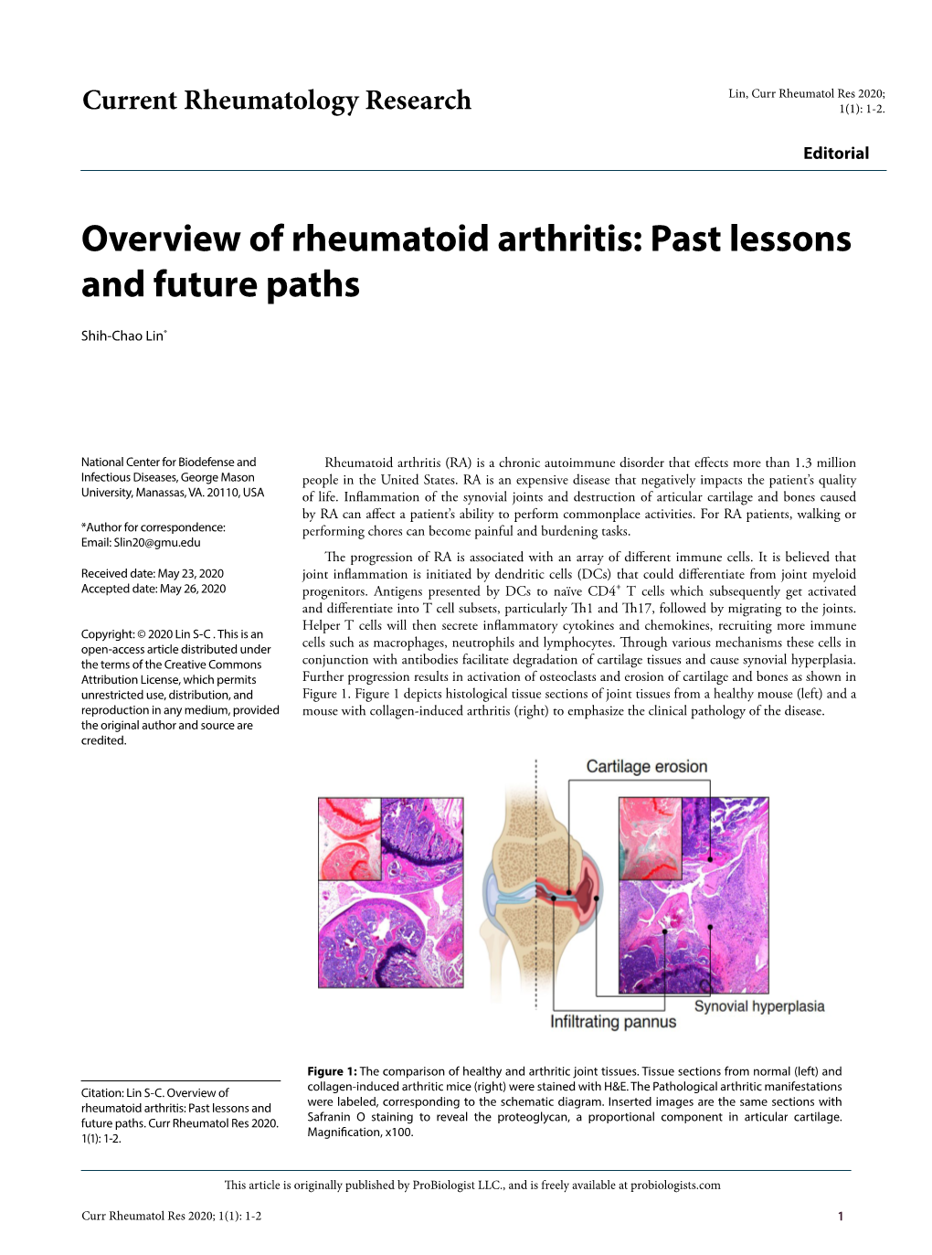 Overview of Rheumatoid Arthritis: Past Lessons and Future Paths