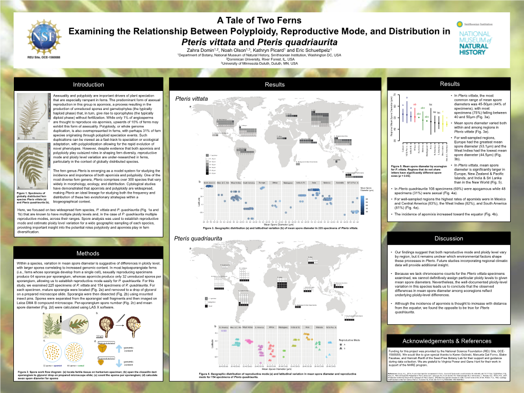 Tale of Two Ferns: Examining the Relationship Between Polyploidy