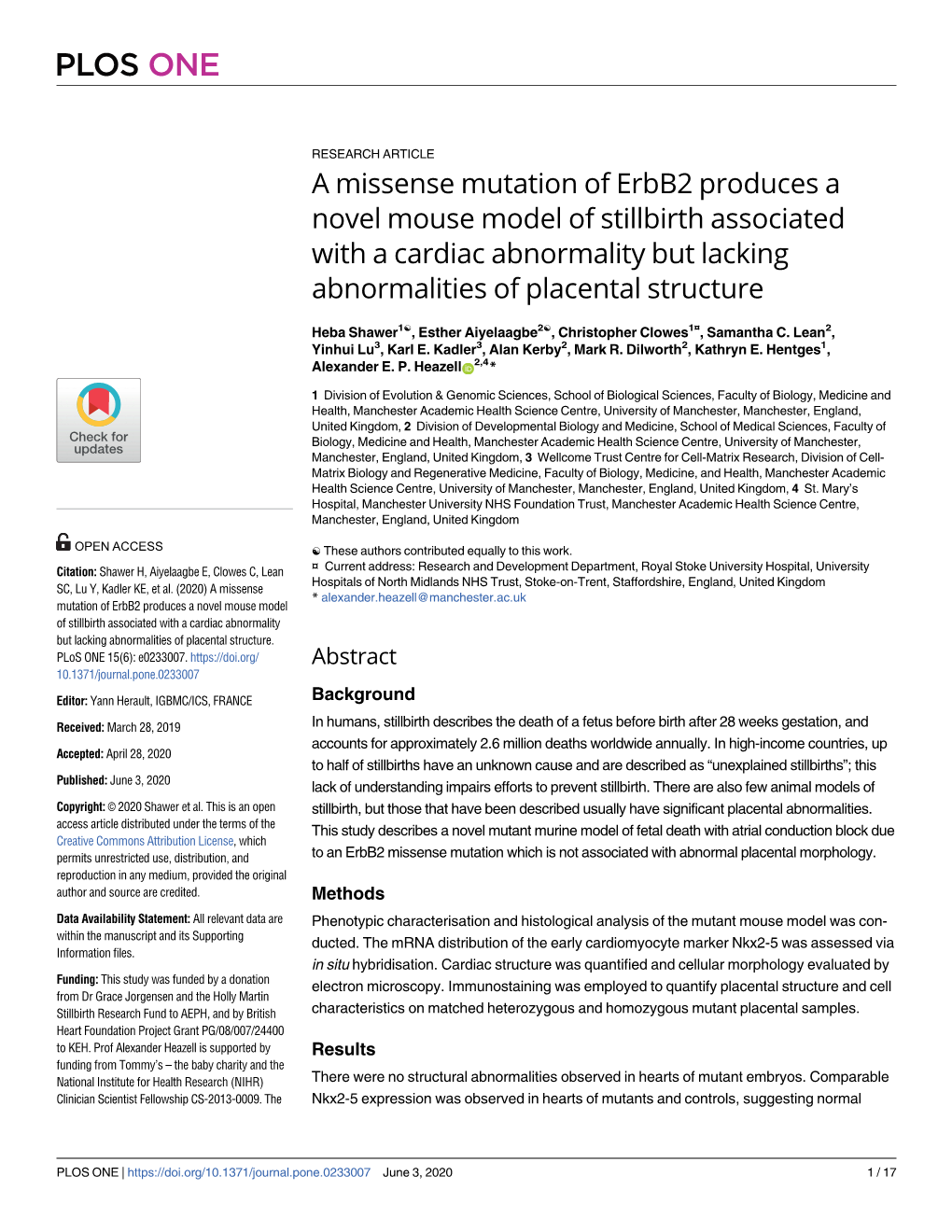 A Missense Mutation of Erbb2 Produces a Novel Mouse Model of Stillbirth Associated with a Cardiac Abnormality but Lacking Abnormalities of Placental Structure