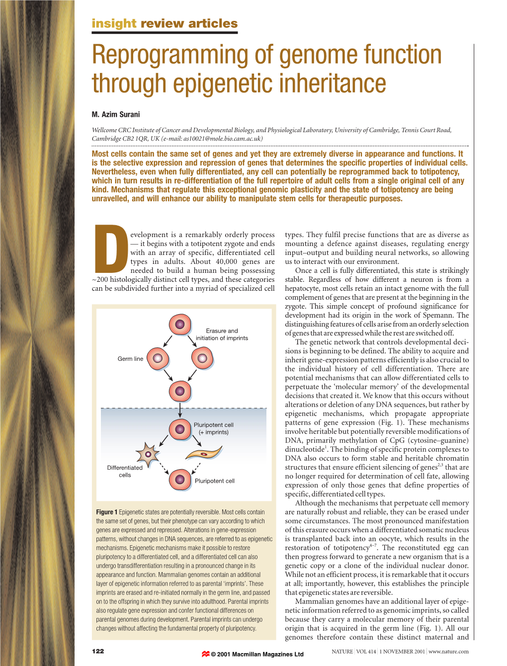 Reprogramming of Genome Function Through Epigenetic Inheritance