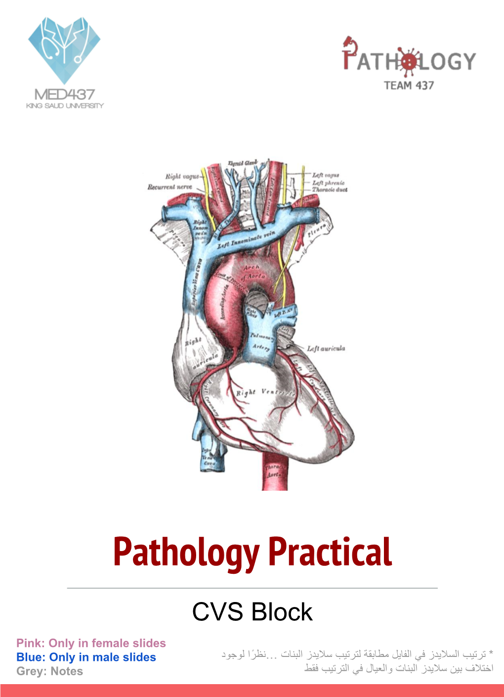 Pathology Practical CVS Block