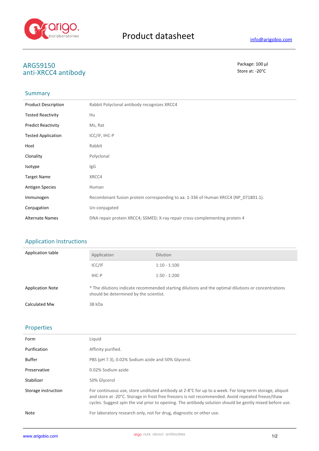 Anti-XRCC4 Antibody (ARG59150)