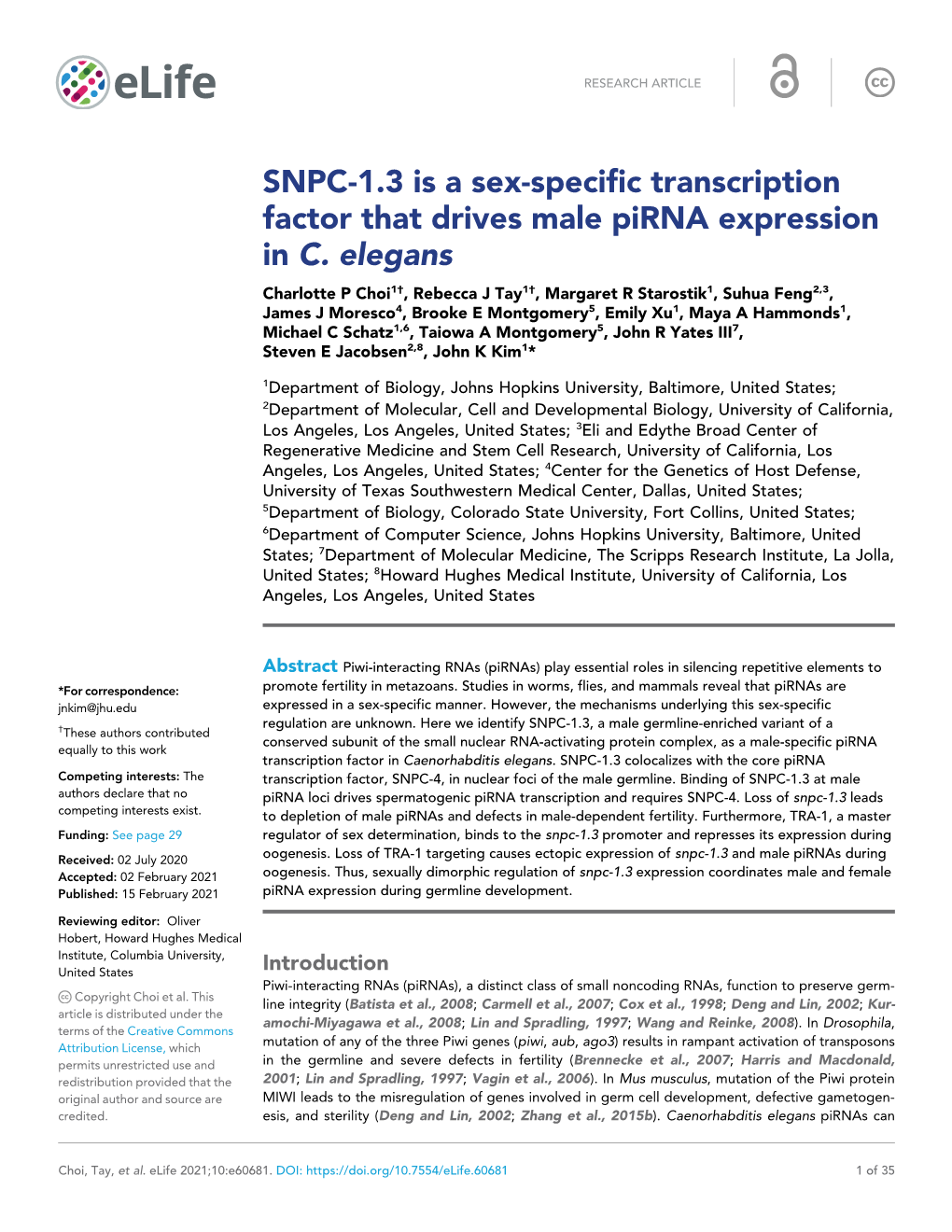 SNPC-1.3 Is a Sex-Specific Transcription Factor That Drives Male Pirna Expression in C
