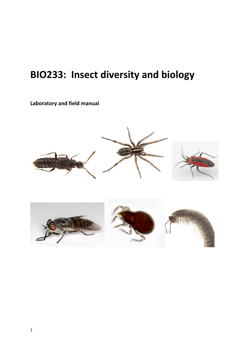 BIO233: Insect Diversity and Biology