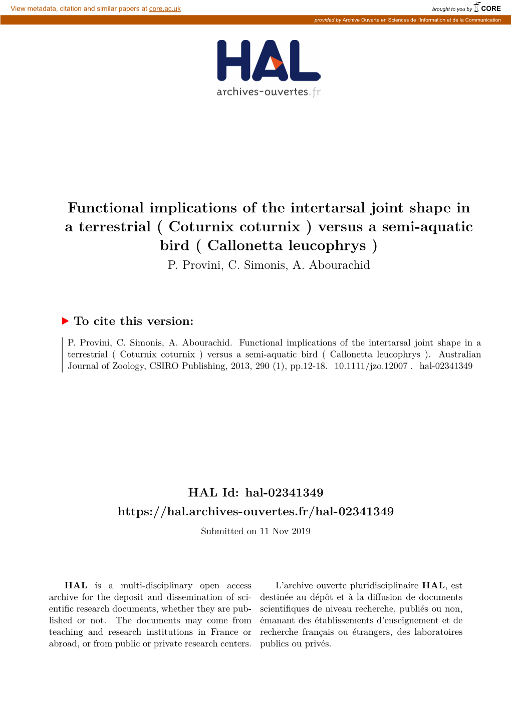 Functional Implications of the Intertarsal Joint Shape in a Terrestrial ( Coturnix Coturnix ) Versus a Semi-Aquatic Bird ( Callonetta Leucophrys ) P