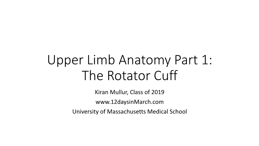 Upper Limb Anatomy Part 1: the Rotator Cuff