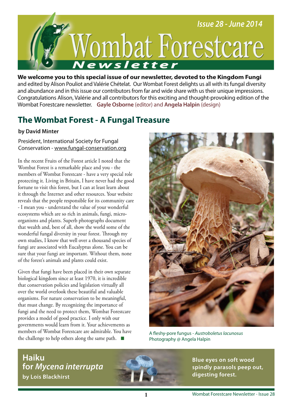 Newsletter We Welcome You to This Special Issue of Our Newsletter, Devoted to the Kingdom Fungi and Edited by Alison Pouliot and Valérie Chételat