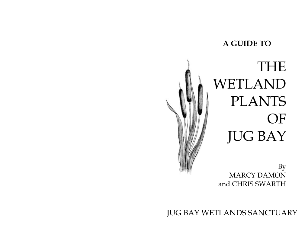 Wetland Plants Booklet